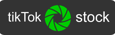 tiktok-stock logo